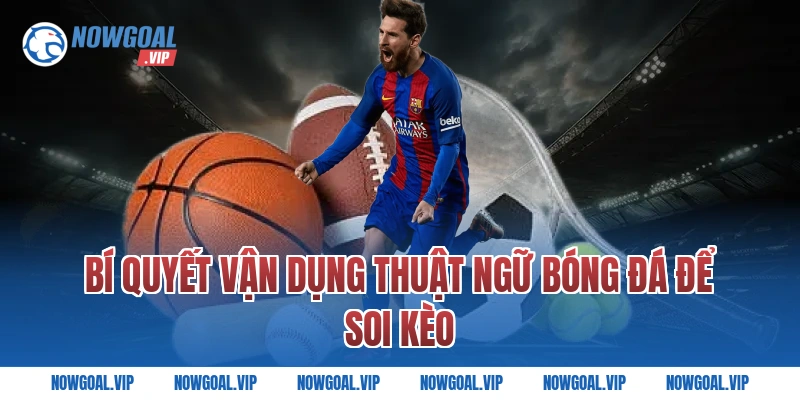 Bí Quyết Vận Dụng Thuật Ngữ Bóng Đá Để Soi Kèo