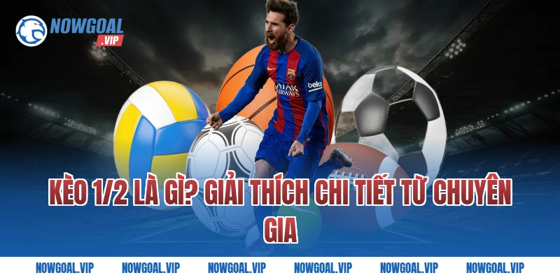 Kèo 1/2 Là Gì? Giải Thích Chi Tiết Từ Chuyên Gia