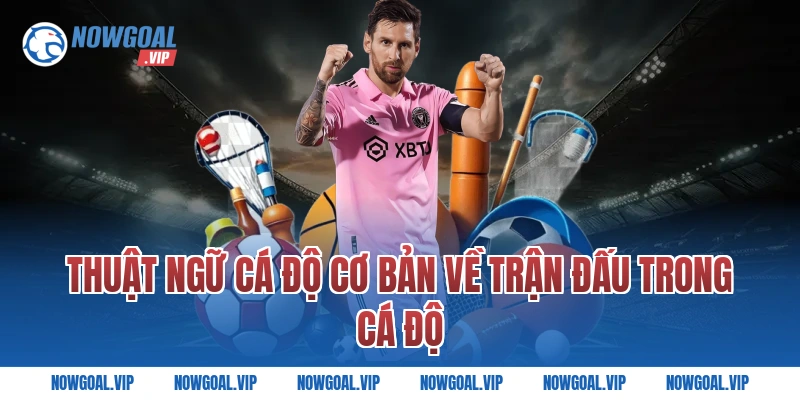 Thuật Ngữ Cá Độ Cơ Bản Về Trận Đấu Trong Cá Độ