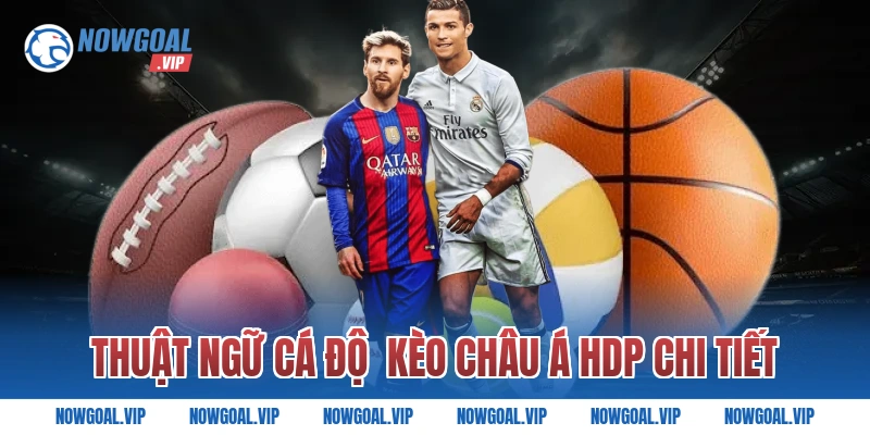 Thuật Ngữ Cá Độ Kèo Châu Á HDP Chi Tiết