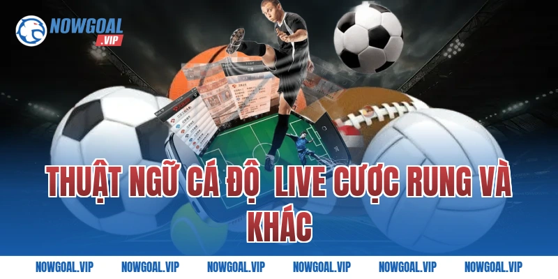 Thuật Ngữ Cá Độ Live Cược Rung Và Khác